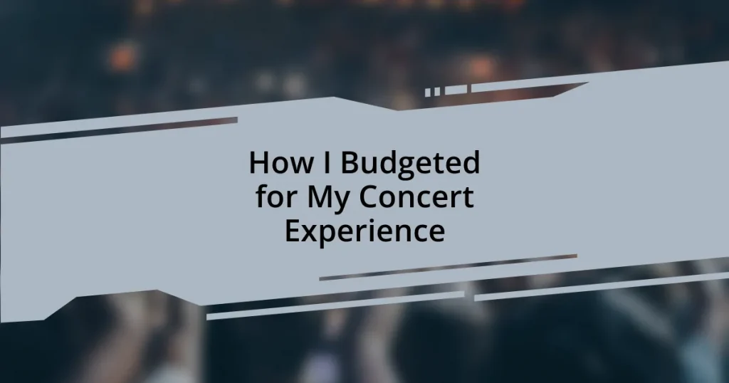How I Budgeted for My Concert Experience